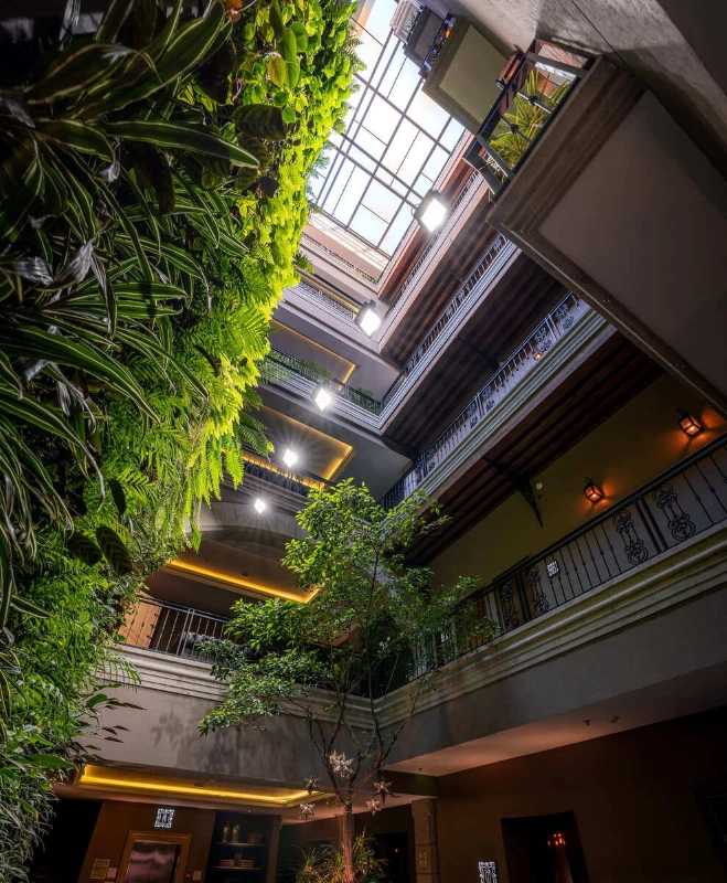 Pasillo Café Central 1D